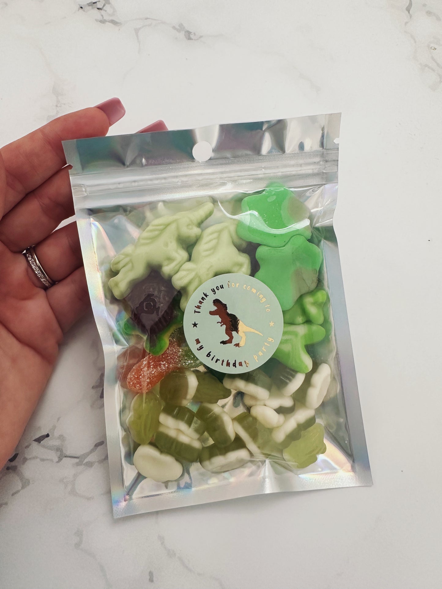 Dinosaur Themed Party Favours